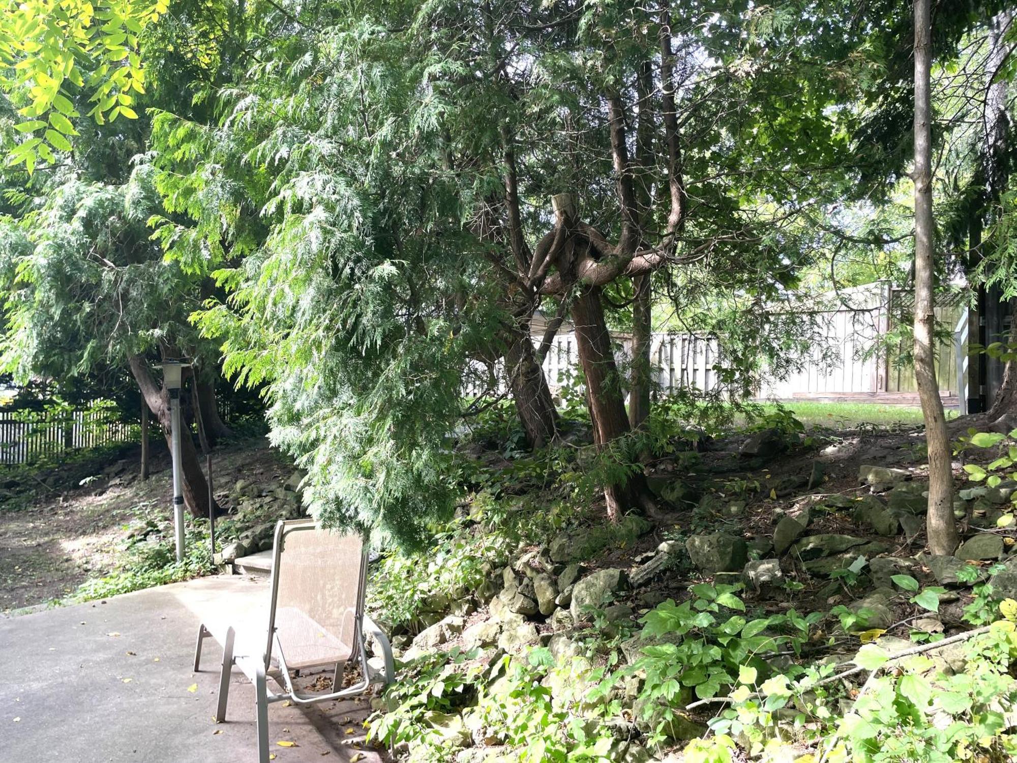 Niagara Riverview Closest To Falls, Free Breakfast Delivered Daily Exteriér fotografie